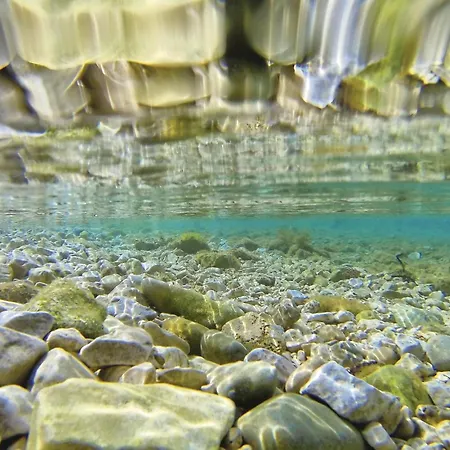 Amazing In * Bibinje